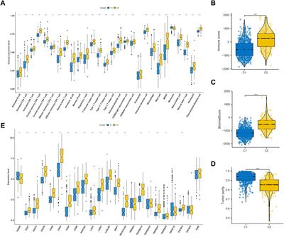 Integrating bulk and single-cell RNA sequencing data reveals epithelial-mesenchymal transition molecular subtype and signature to predict prognosis, immunotherapy efficacy, and drug candidates in low-grade gliomas